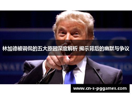 林加德被调侃的五大原因深度解析 揭示背后的幽默与争议