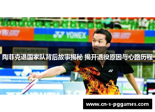 陶菲克退国家队背后故事揭秘 揭开退役原因与心路历程